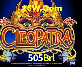 505Brl Salvador - Statistics